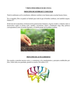 Principios Upana Revista Digital