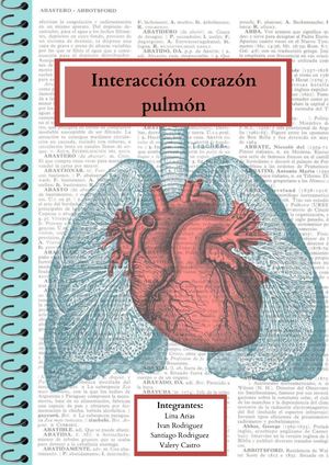 Interacción Corazón-Pulmón
