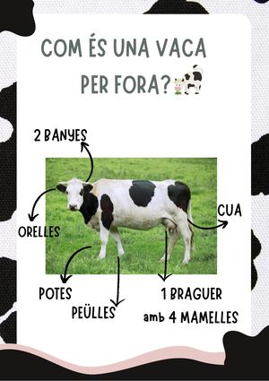 Projecte La vaca