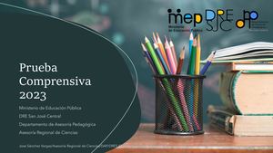 Prueba Comprensiva 2023