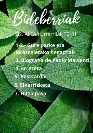 BB ALDIZKARIA 32 Alea