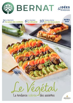 Bernat Catalogue Idées & Tendances Avril 2023