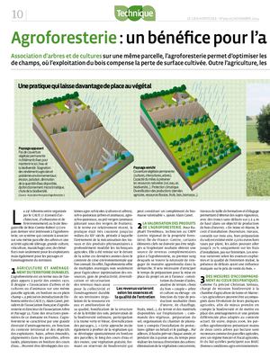 (ARBO-29) Agroforesterie : bénéfice agriculture-territoire-paysage