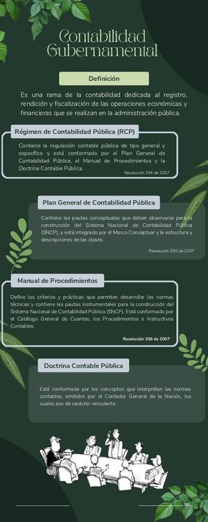 Infografia Contabilidad Gubernamental