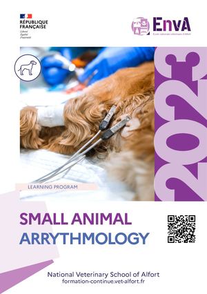 2023 03 01 Fc Rythmologie Flyer