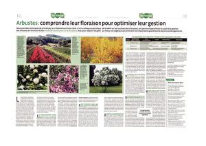 (ARBO-27)-Arbustes -Article Lien Horticole