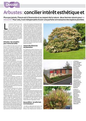 (ARBO-27) -Arbustes-esthétique-coût