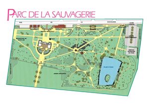 (ARBO-27)- Arbustes-Plan Sauvagerie