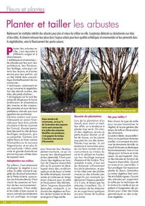 (ARBO-27)-Arbustes-Planter-tailler