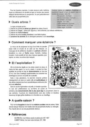 (ARBO-26)-Chênes-Eclaircie