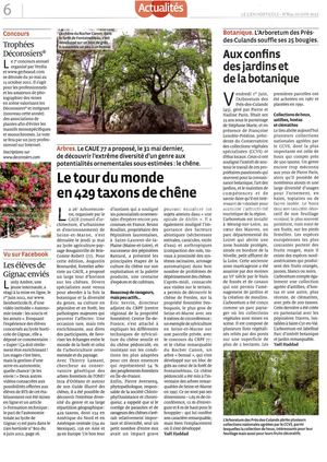 (ARBO-26) - Chênes- Le Tour Du Monde En 429 Taxons De Chene