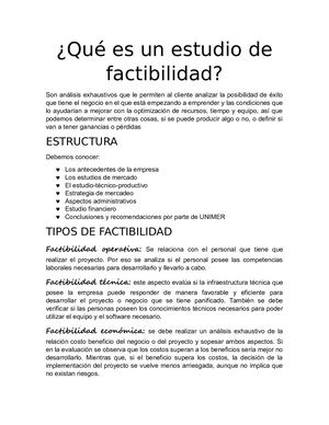 Qué Es Un Estudio De Factibilidad Mgms