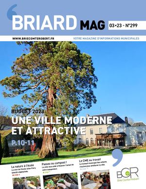 Briard Mag n°299 Mars 2023