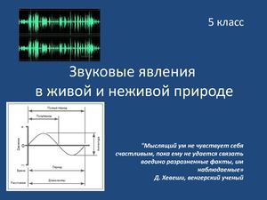 Zvukovie Yavleniya V Zhivoy I Nezhiv