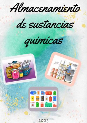 Almacenamiento De Sustancias Quimicas