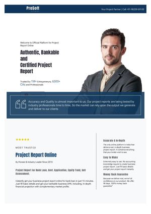 Project Report Online