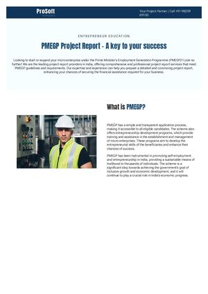 Pmegp Project Report Service
