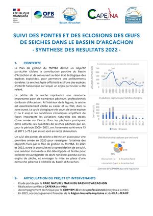 Suivi des pontes et des éclosions des œufs de seiches dans le Bassin d’Arcachon : synthèse des résultats 2022