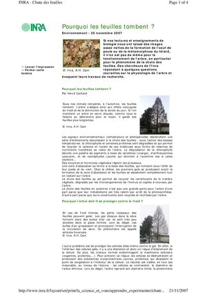 (ARBO-25)-Arbres-Hiver-Chute-Feuilles