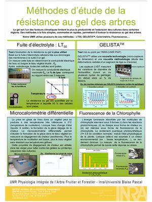 (ARBO-25) -Arbres-Hiver-Résistance-Gel