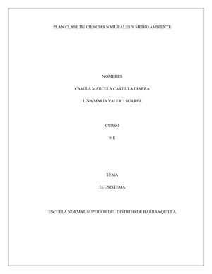 Plan Clase- Camila Castilla y Lina Valero 9 E