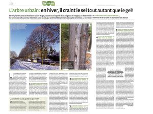 (ARBO-25)-Arbres-Hiver-Ville-Sel-gel