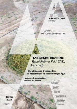 ENSISHEIM, Reguisheimer Feld, ZAID, Tranche 3 - vol.4.1. Les structures des âges des métaux (f)