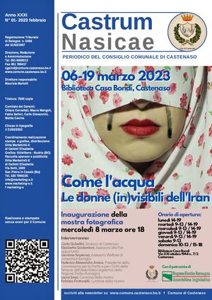 Castrum Nasicae 01