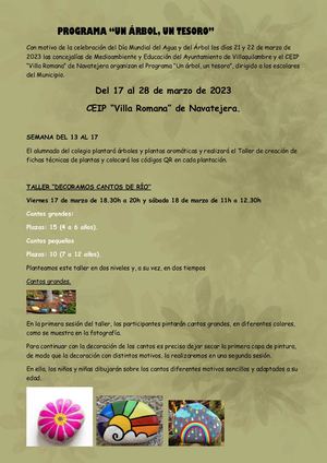 Programa Un Árbol Un Tesoro