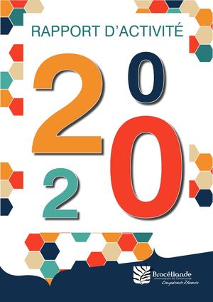 Rapport D'activité 2020