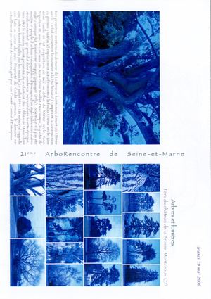 (ARBO-21)-Arbres-Lumière- Plan parc