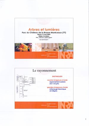 (ARBO-21)-Arbres-Lumière- Rayonnement, bandes ...