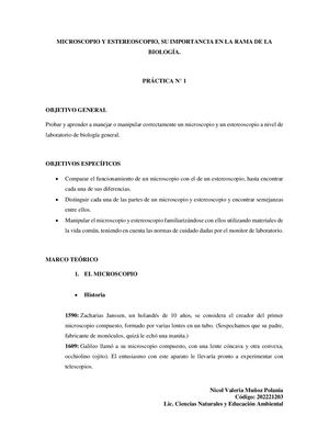 Microscopio Y Estereoscopio