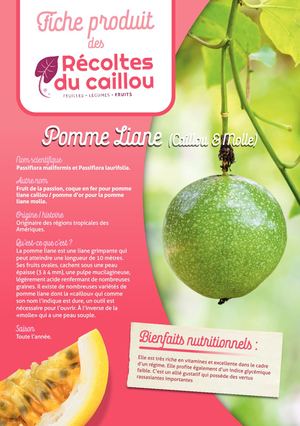 RECOLTES DU CAILLOU POMME LIANE