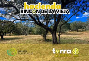 Hacienda Rincón De La Vieja