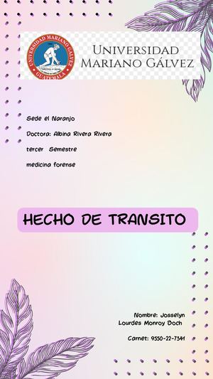 Hecho De Transito