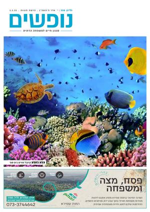 נופים&נופשים גיליון מס׳ 320 | ה׳ אדר ה’תשפ”ג | פרשת תצווה | 3.3.23