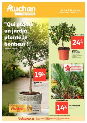 Plantes Med ouest super