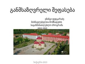 განმსაზღვრელი შეფასება, პრეზენტაცია