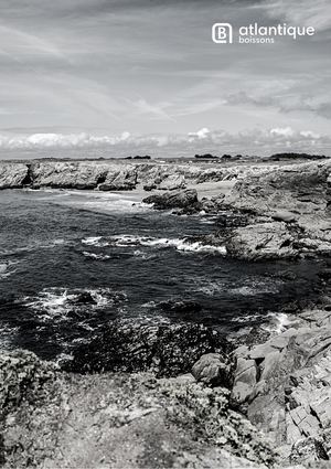 Catalogue Breton Atlantique Boissons