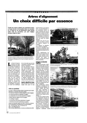 (ARBO-11)- Arbres d'alignement, choix difficile - essence