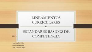 Lineamientos Curriculares