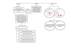 mapa conceptual de la sexualidad