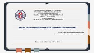 Delitos Contra La Propiedad