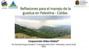 Reflexiones para el manejo de la guadua en Palestina - Caldas