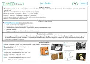 Seq Les Plantes Ms Gs
