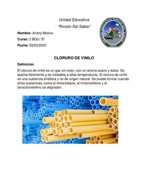 Cloruro De Vinilo Ariany Molina