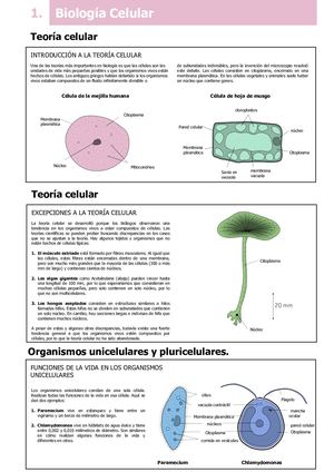 Biología celular y biodivercidad