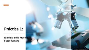 Practica 1 Laboratorio