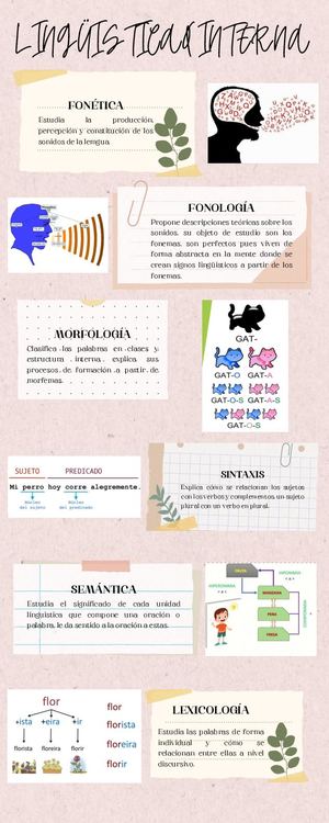 Infografía Lingüistica Interna Y Externa
